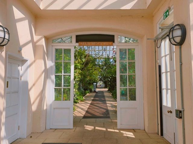 어여쁜 수련이 가득한🌺 영국 큐가든 워터릴리 하우스