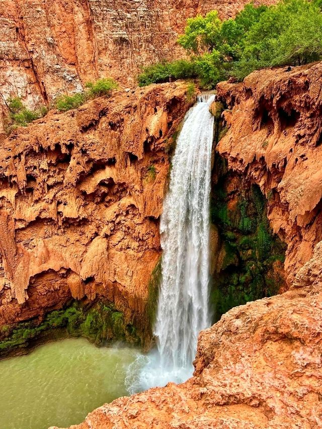 💦 Havasu Falls – Arizona’s Hidden Paradise