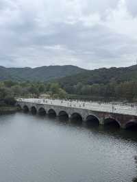 Cloudy Day Dream☁️