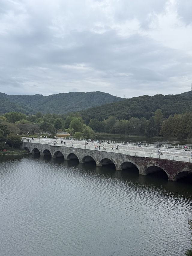 Cloudy Day Dream☁️