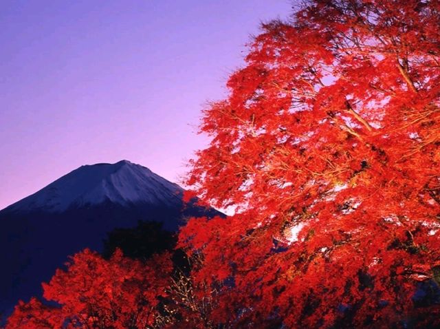 富士山と紅葉🗻🍁この景色はずるい！