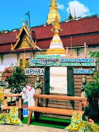 🎋สักการะ วัดพระธาตุช่อแฮ