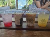 ☕ Miyo Coffee & Bar คาเฟ่บนดอยช้าง 
