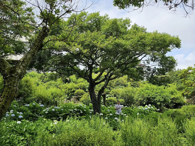Jeju herb garden