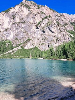 สวนปราสาท Trauttmansdorff