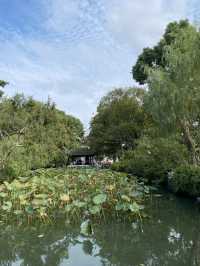 Shanghai Night Magic✨