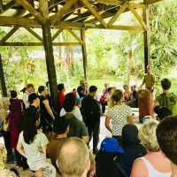 🗺️ The Ultimate Borneo Journey: Days of Discovery