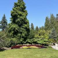 Queen Elizabeth Park