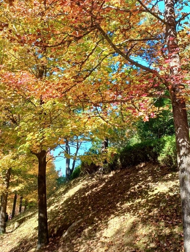 산책만으로도 힐링 산책만으로도 힐링