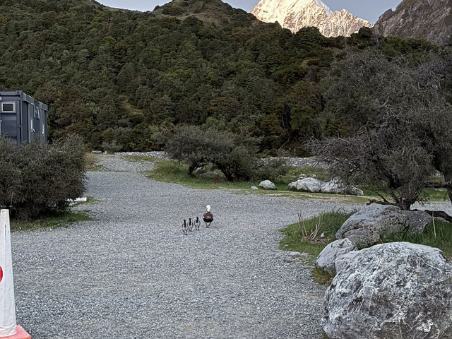 夕陽に照らされるマウントクック