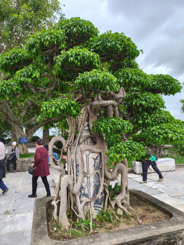 Temple Views Only🏯 Linh Ung Pagoda Temple Views Only🏯 Linh Ung Pagoda
