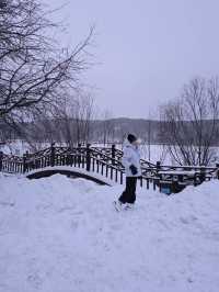 ❄️ "Harbin-Mohe River, a journey to the extreme north"