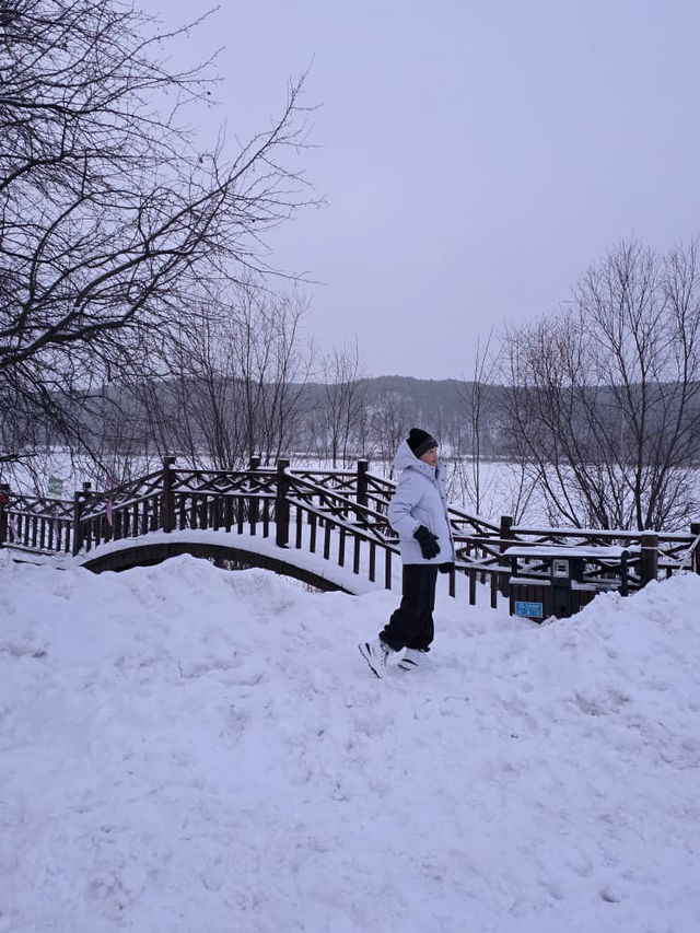 ❄️ "Harbin-Mohe River, a journey to the extreme north" ❄️ "Harbin-Mohe River, a journey to the extreme north"