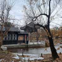 수원에서 볼 수 있는 광동식 전통 공원, 월화원