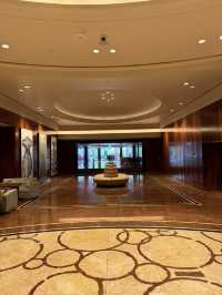 Park Hyatt Melodies🎹