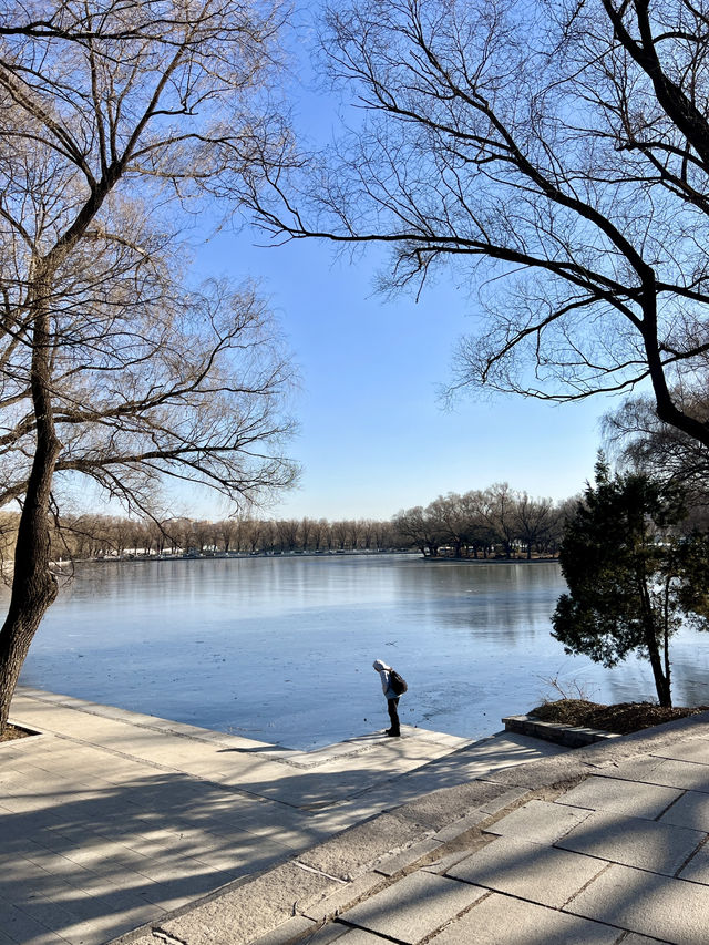 🇨🇳 선양 시민들의 휴식처 북릉공원 🇨🇳 선양 시민들의 휴식처 북릉공원