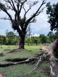 Family-Friendly Green Retreat at Sematan Park