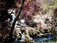 Tokyo Winter Getaway with Skiing