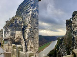 The forest's gentle comfort