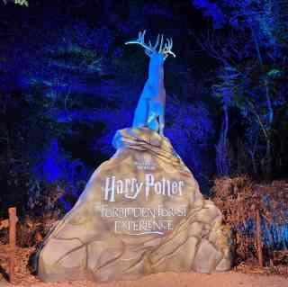 ハリー・ポッターオブジェ 2026年 [Shenzhen] Harry Potter: A Forbidden Forest Experience観光