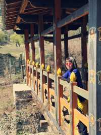 Kurjey Lhakhang: Bhutan’s Sacred Hidden Gem 🌄✨