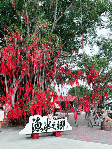 セキンチャンの願いの木（Sekinchan Wishing Tree）。 | Trip.com