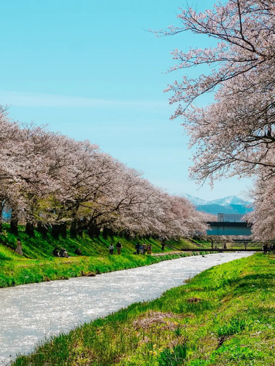 Asahi Funakawa Spring Quartet, Toyama | Trip.com Asahi