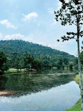Kepong Botanic Gardens - Green Sanctuary Surrounded by Nature