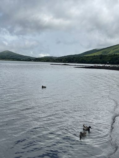 山中湖村、雨の日の静寂な水上トリップ。 | Trip.com 山中湖村