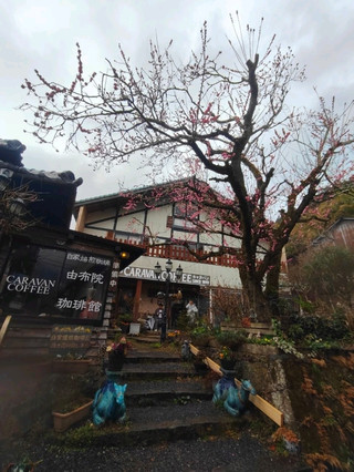由布院-走進山與湖之間的一場溫柔夢境