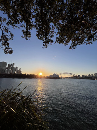 My Favourite Sydney Sunset Spot — Fleet Steps Was Pure Magic! 💜