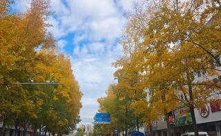 Altay in Autumn: A Moment I Wish I Could Keep Forever