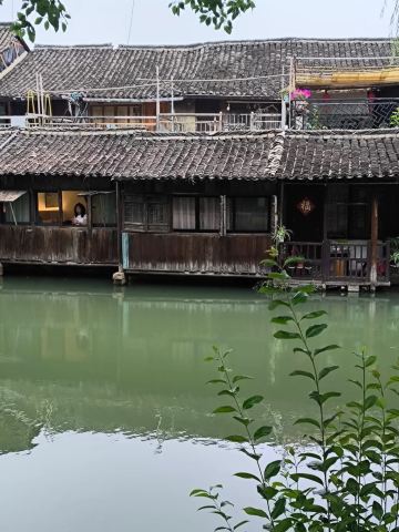 A Spontaneous Adventure in Wuzhen with My Friends 🏮