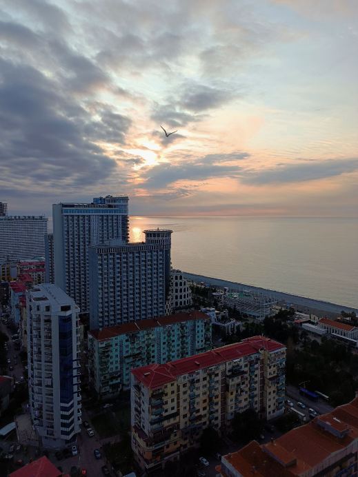 🌺🌊 Misty Seas & Blooming Magnolias: Winter Magic in Batumi