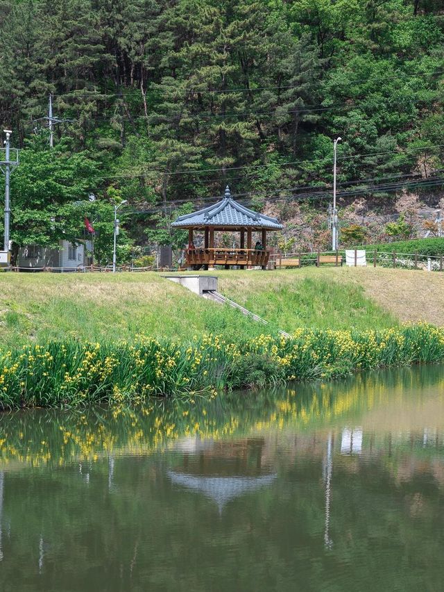 5월에 놓치지 말아야할 대구 숨은 여행지🫶🏻