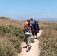 On the Trail Near Bodega Bay, California