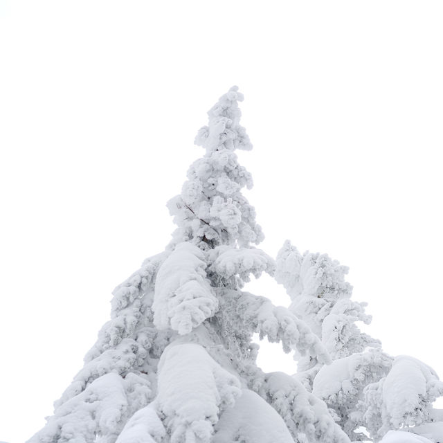 Killington Peak @ Killington Resort