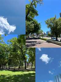 🌲高雄的都市綠洲：中央公園的神奇冒險🏞️ 