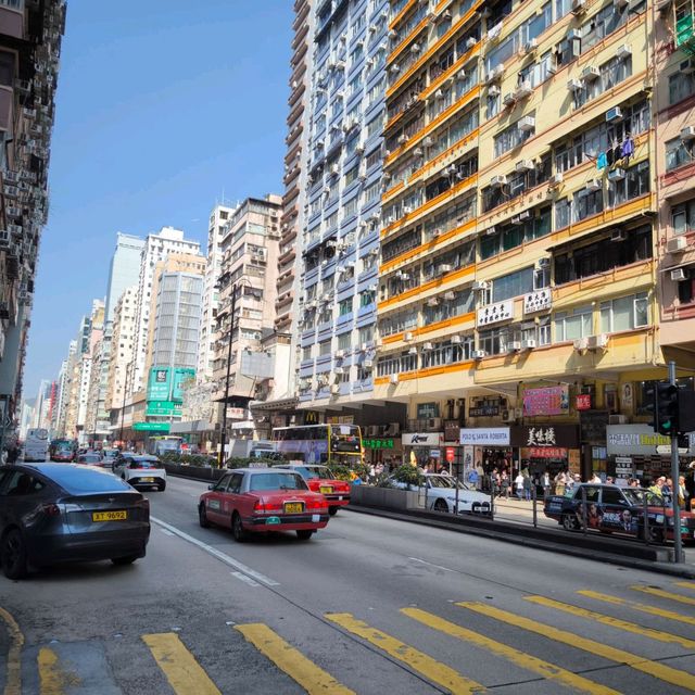 Day Trip in West Kowloon 