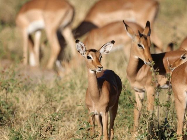 Majestic. Beauty. Stunning. South Africa at its finest