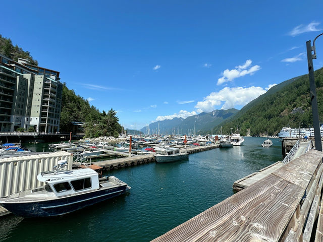🇨🇦Vancouver에서 가장 평화롭고 아름다운 동네 Horseshoe bay!!