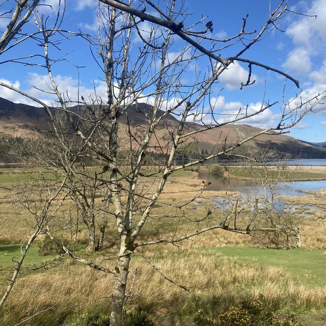 High Spy & Derwentwater Picturesque Scenery