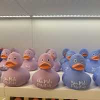 🐤귀여운 오리소품을 살 수 있는 Duck Botique