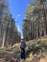 Greenfield - Stunning view and feel the breath of nature (勁靚😂😂😂）