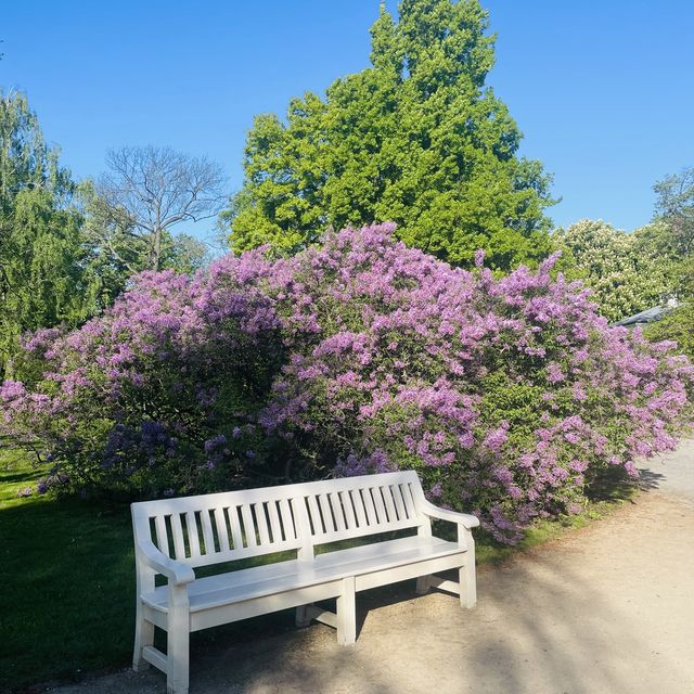 【ポーランド🇵🇱/ワジェンキ宮殿と美しい庭園】