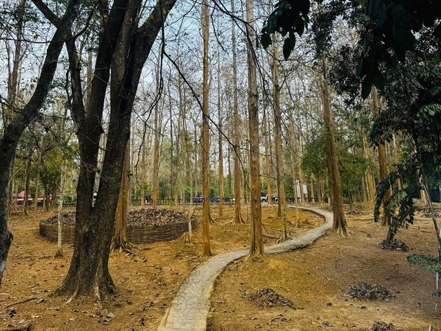 Doi Luang National Park 🇹🇭