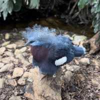 Cotswold Wildlife Park: Beautiful, spacious & intimate 