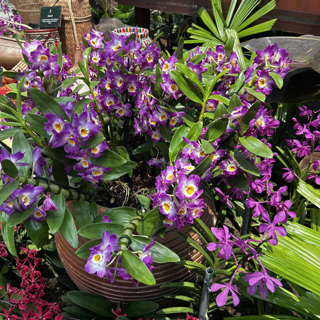 A floral Paradise 