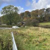 A Ribbleside Ramble