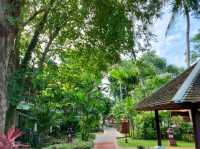 รีสอร์ตริมชายหาดเฉวง บรรยากาศร่มรื่น